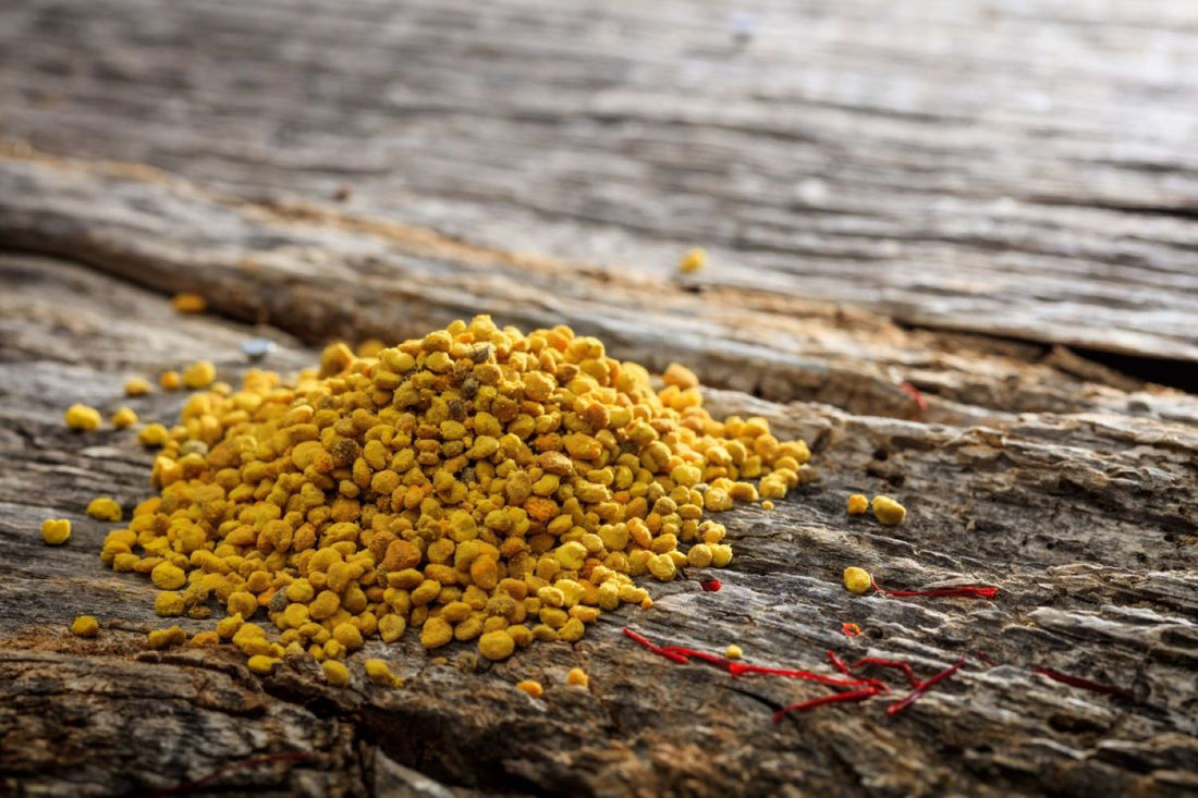 Pollen de pin : un antioxydant puissant pour la vitalité