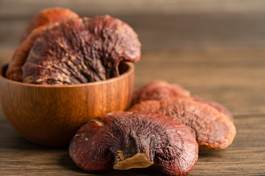 Shilajit ou Reishi : quel adaptogène choisir ?