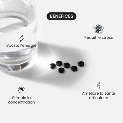 Comprimés de Shilajit Primal