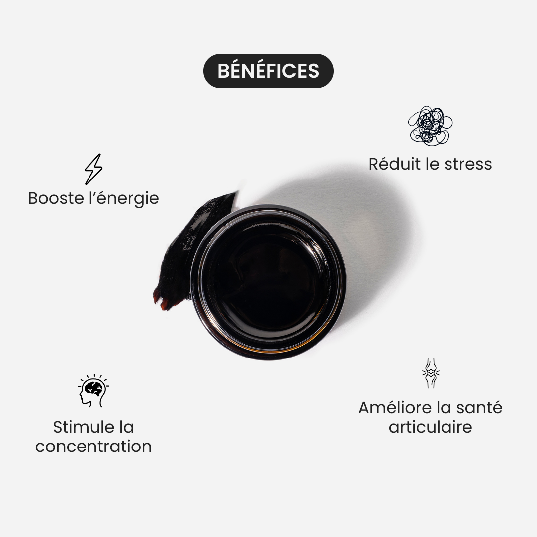 Primal Shilajit B2B vente en gros